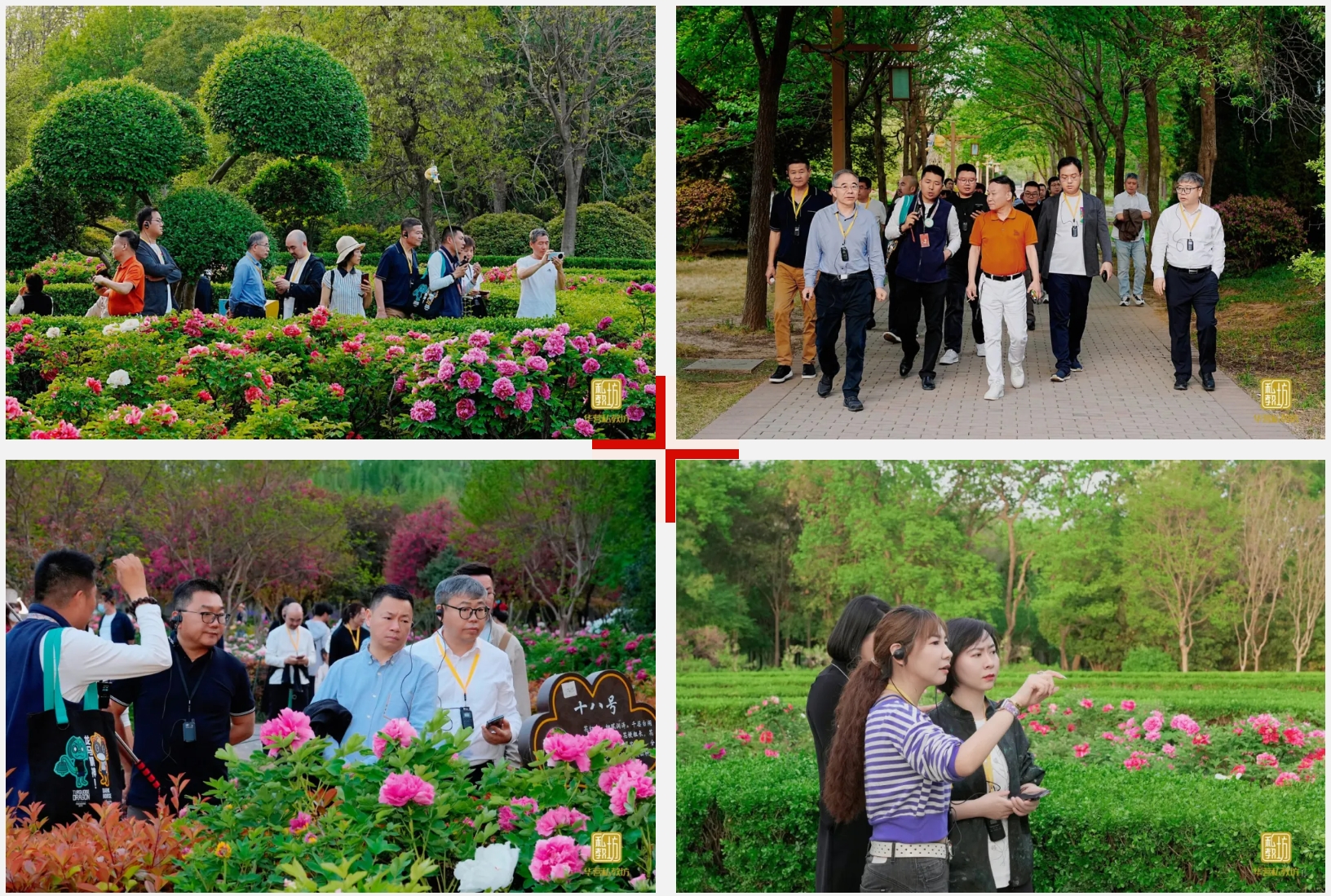 mg不朽情缘(中国)官方网站